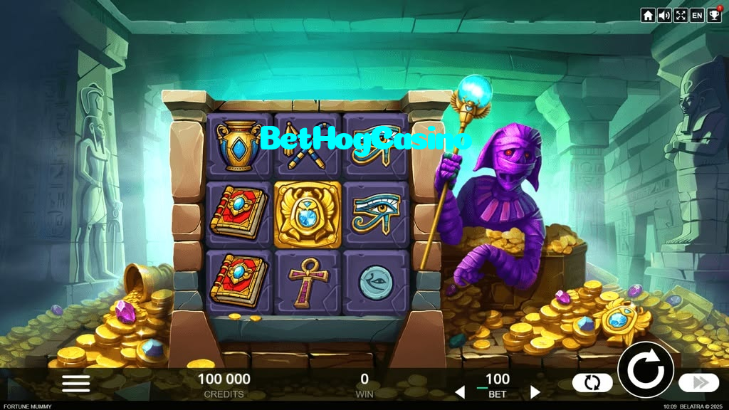 available types of BetHogCasino bet including pre-match live express and system bets