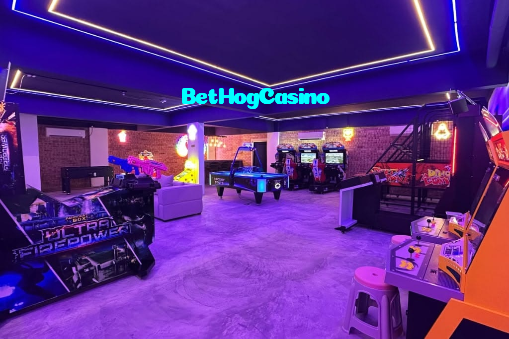 available types of BetHogCasino bet including pre-match live express and system bets